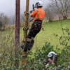 Tree surgeons working near overhead electricity line Tree surgeons working near overhead electricity line