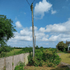 Electricity Pole And Overhead Lines In A Garden Electricity Pole And Overhead Lines In A Garden