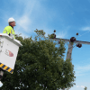 UK Power Networks engineer assessing trees growing next to overhead electricity lines UK Power Networks engineer assessing trees growing next to overhead electricity lines